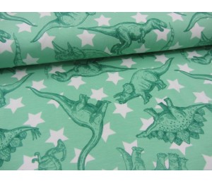 Jersey - Dinosaurier Dinos und Sterne hellgrün